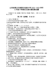 山东省泰安市新泰市实验中学2022—2023学年八年级下学期语文期末模拟测试题（含答案）