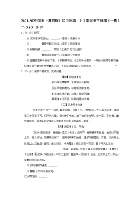 2021-2022学年上海市徐汇区九年级（上）期末语文试卷（一模）