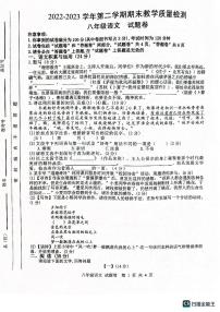 安徽省合肥市包河区2022-2023学年八年级下学期6月期末考试语文试题