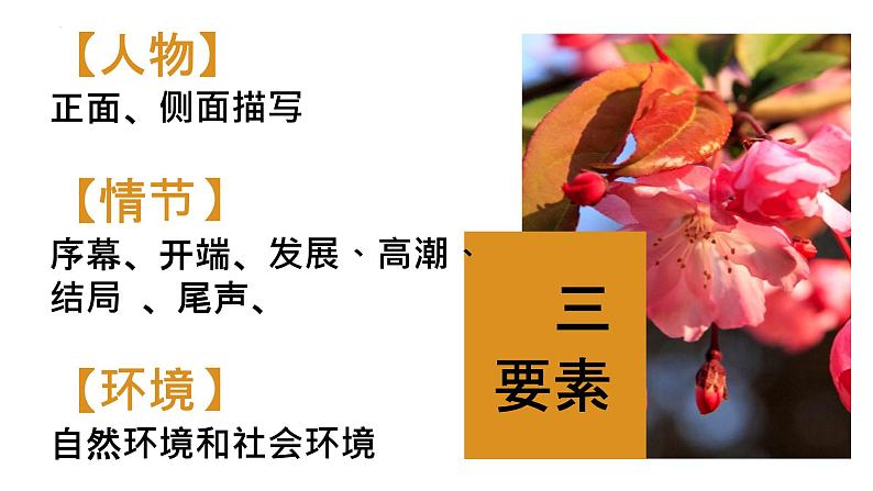 中考语文二轮专题复习：现代文阅读之知识导图课件PPT第5页