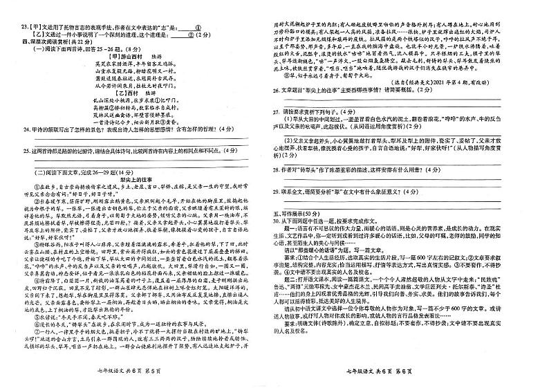 湖北省黄冈市黄梅县2022-2023学年七年级下学期期末教学质量监测语文试题第3页
