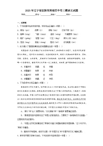 2023年辽宁省沈阳市浑南区中考三模语文试题（含答案）