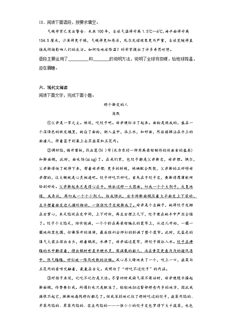 2023年西藏自治区日喀则市昂仁县中考二模语文试题（含解析）03
