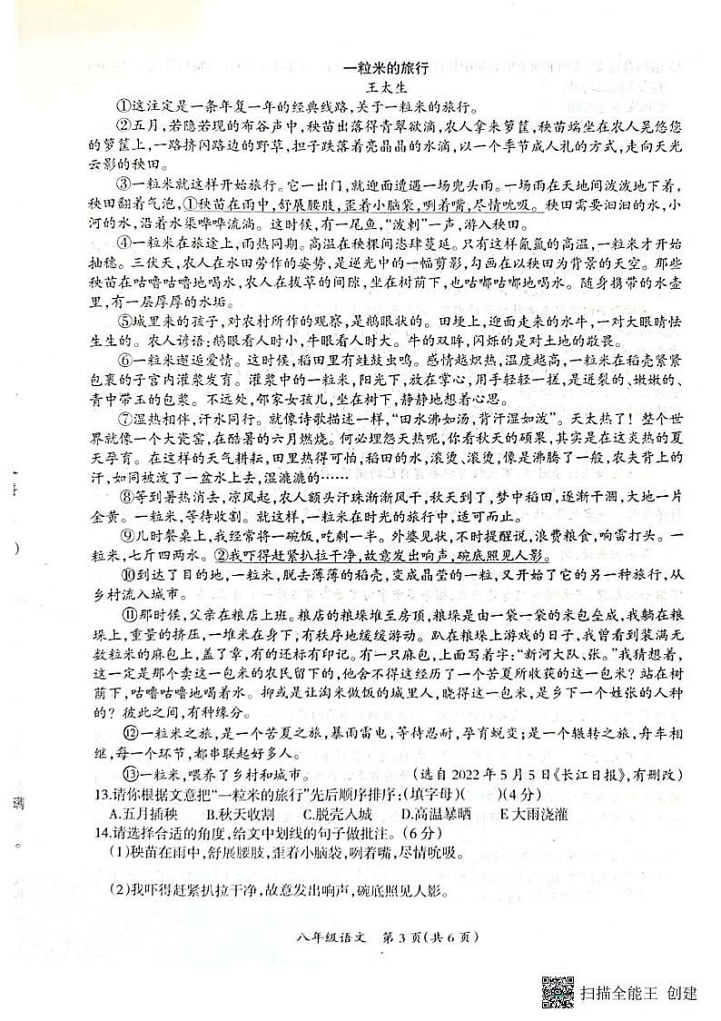 江西省吉安市吉安县2022-2023学年八年级下学期6月期末语文试题第3页