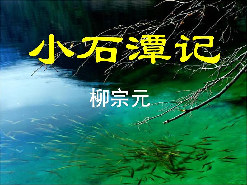 第10课《小石潭记》PPT课件6-八年级语文下册统编版06