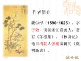 第11课《核舟记》PPT课件9-八年级语文下册统编版