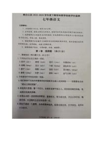 四川省成都市青白江区2022-2023学年七年级下学期期末考试语文试题