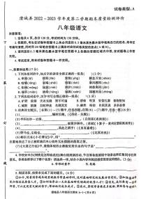 陕西省渭南市澄城县2022-2023学年八年级下学期期末考试语文试题