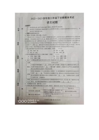 河南省驻马店市平舆县2022-2023学年八年级下学期6月期末语文试题