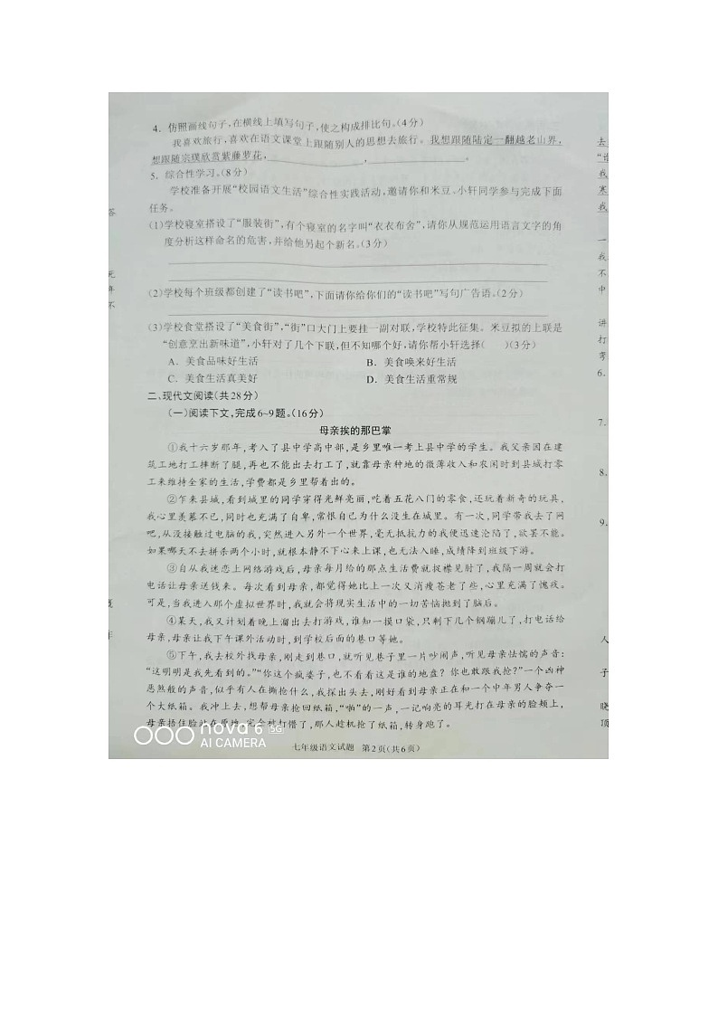 河南省驻马店市平舆县2022-2023学年七年级下学期6月期末语文试题02