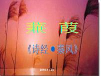 语文八年级下册蒹葭教学ppt课件