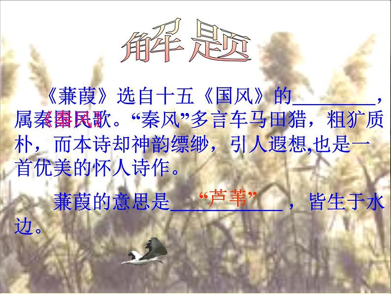 第12课《诗经两首-蒹葭》PPT课件3-八年级语文下册统编版第3页