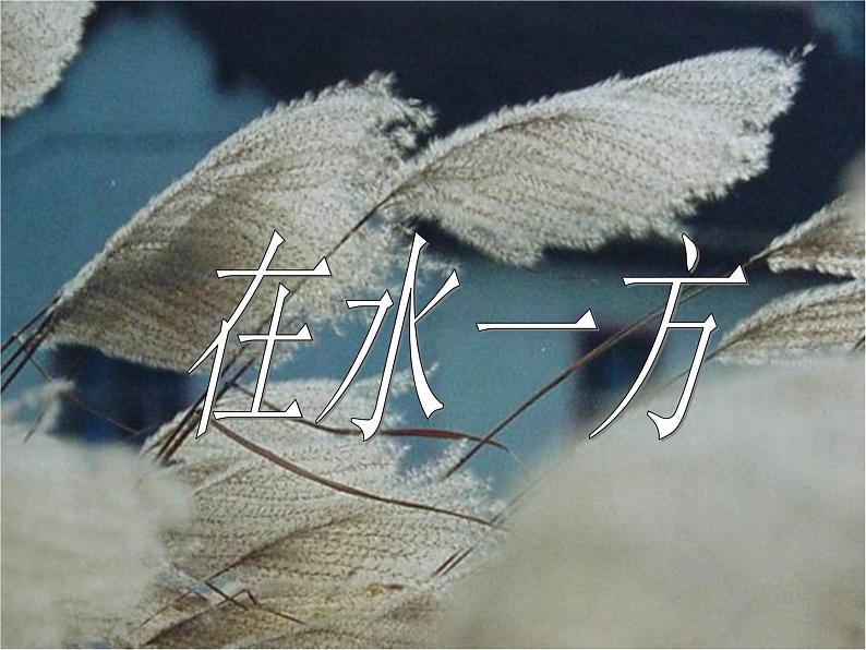 第12课《诗经两首-蒹葭》PPT课件4-八年级语文下册统编版第4页