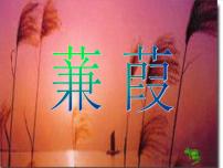 人教部编版八年级下册蒹葭教案配套课件ppt