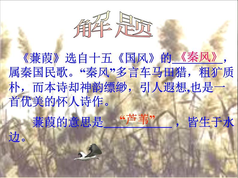 第12课《诗经两首-蒹葭》PPT课件1-八年级语文下册统编版04