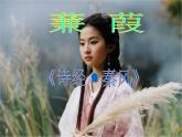第12课《诗经两首-蒹葭》PPT课件5-八年级语文下册统编版