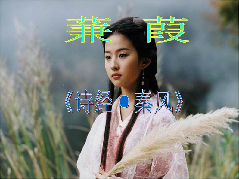 第12课《诗经两首-蒹葭》PPT课件5-八年级语文下册统编版第3页
