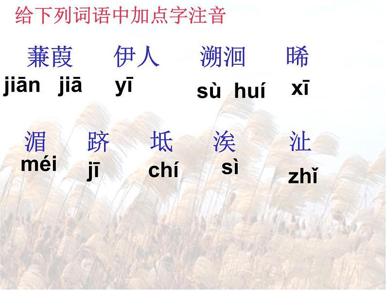 第12课《诗经两首-蒹葭》PPT课件5-八年级语文下册统编版第4页