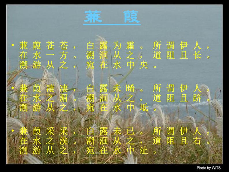 第12课《诗经两首-蒹葭》PPT课件5-八年级语文下册统编版第5页