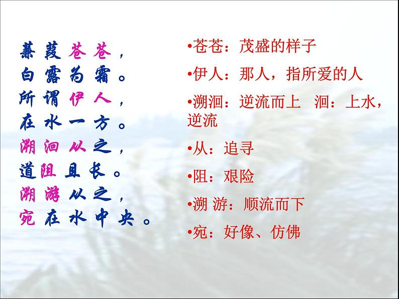 第12课《诗经两首-蒹葭》PPT课件5-八年级语文下册统编版第6页