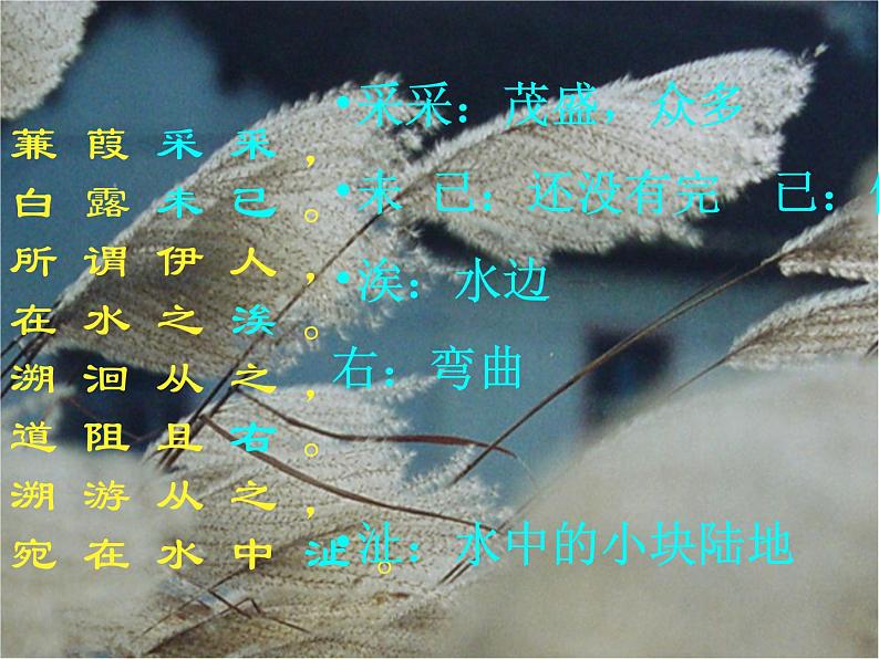 第12课《诗经两首-蒹葭》PPT课件5-八年级语文下册统编版第8页