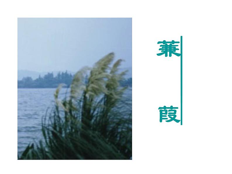 第12课《诗经两首-蒹葭》PPT课件11-八年级语文下册统编版第1页