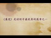第12课《诗经两首-蒹葭》PPT课件8-八年级语文下册统编版
