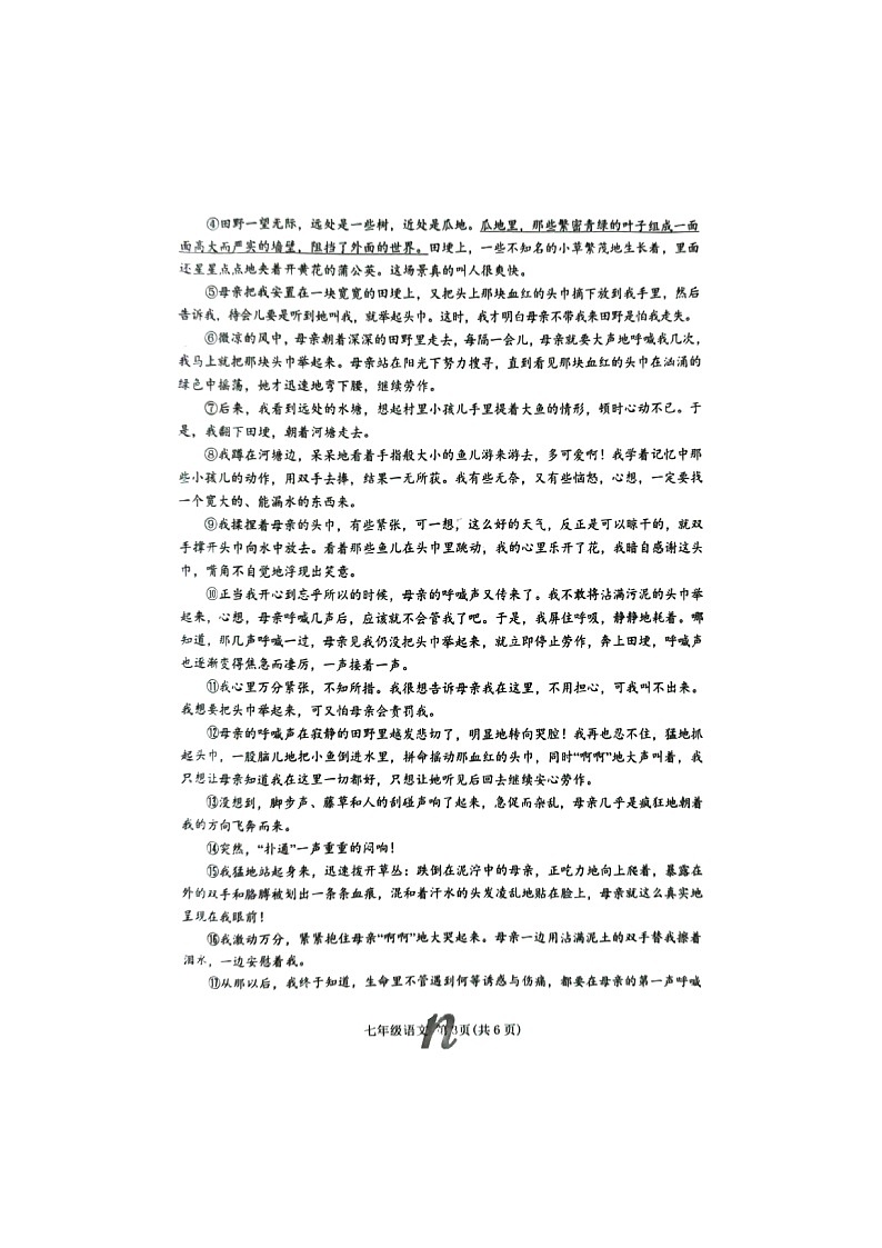 河南省南召县+2022-2023学年七年级下学期期末语文试卷第3页