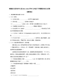 安徽省合肥市庐江县2021-2022学年七年级下学期期末语文试卷（含答案）
