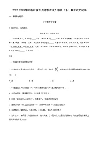 精品解析：浙江省绍兴市柯桥区2022-2023学年九年级下学期期中语文试题