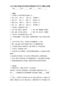 2023年四川省眉山市东坡区苏洵初级中学中考三模语文试题（含解析）