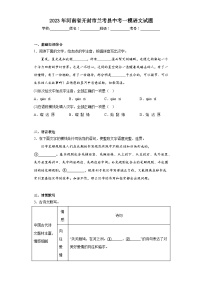 2023年河南省开封市兰考县中考一模语文试题（含解析）