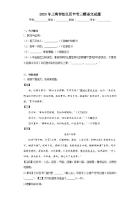 2023年上海市松江区中考三模语文试题（含解析）