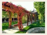 八上写作：学习景物描写同步课件