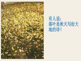 八上写作：学习景物描写同步课件