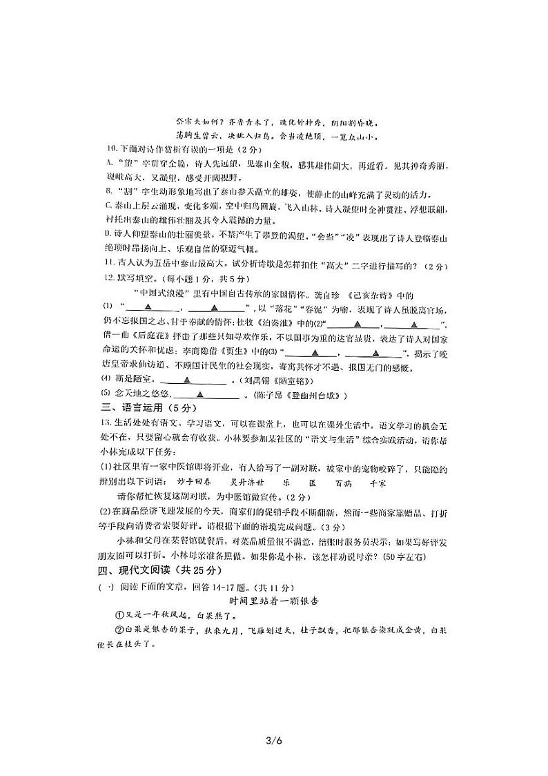 山东省嘉祥县2022-2023学年七年级下学期期末语文试题第3页