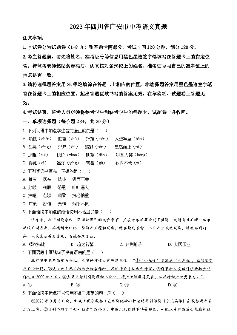 2023年四川省广安市中考语文真题01
