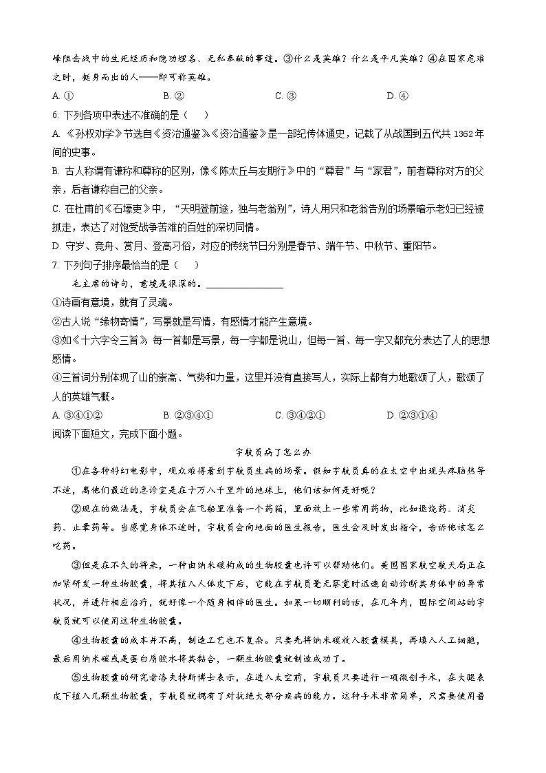 2023年四川省广安市中考语文真题02