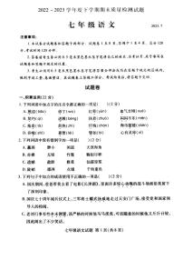 山东省临沂市兰山区2022-2023学年七年级下学期期末考试语文试卷