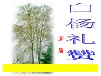 人教部编版八年级上册白杨礼赞多媒体教学ppt课件