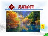 八上昆明的雨同步课件