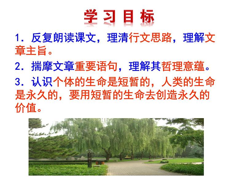 永久的生命同步课件第4页