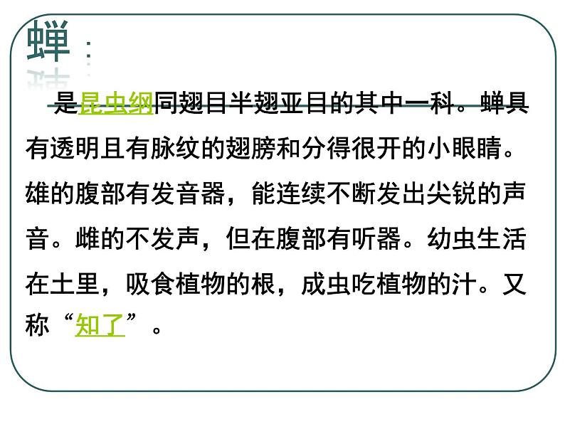 八上蝉同步课件04