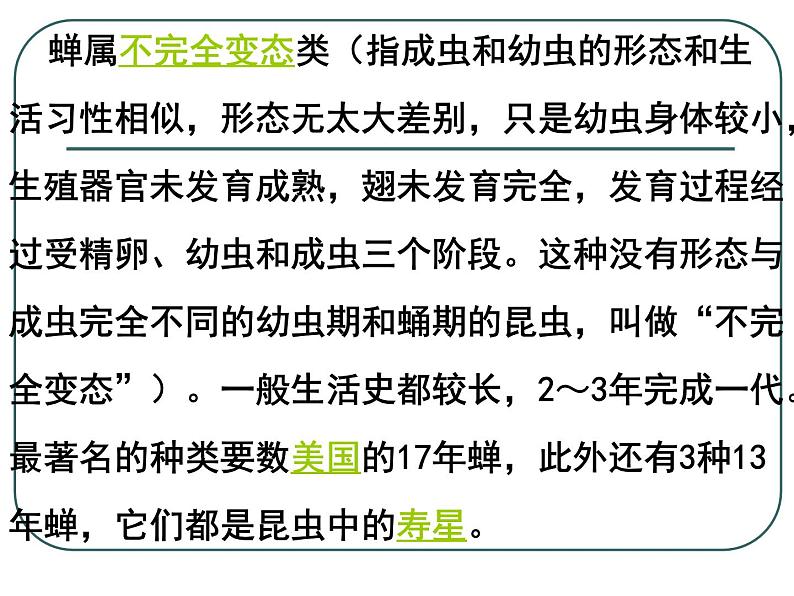 八上蝉同步课件05