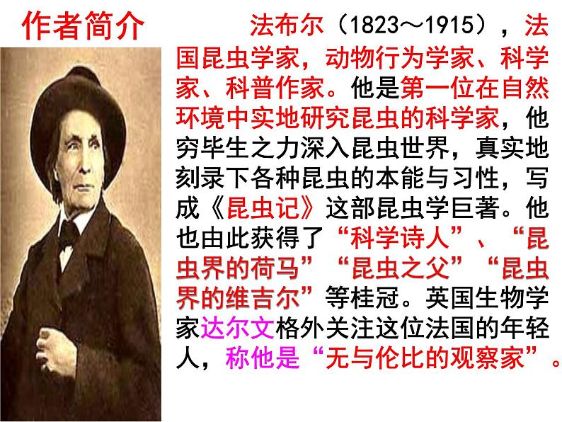 八上名著昆虫记同步课件05