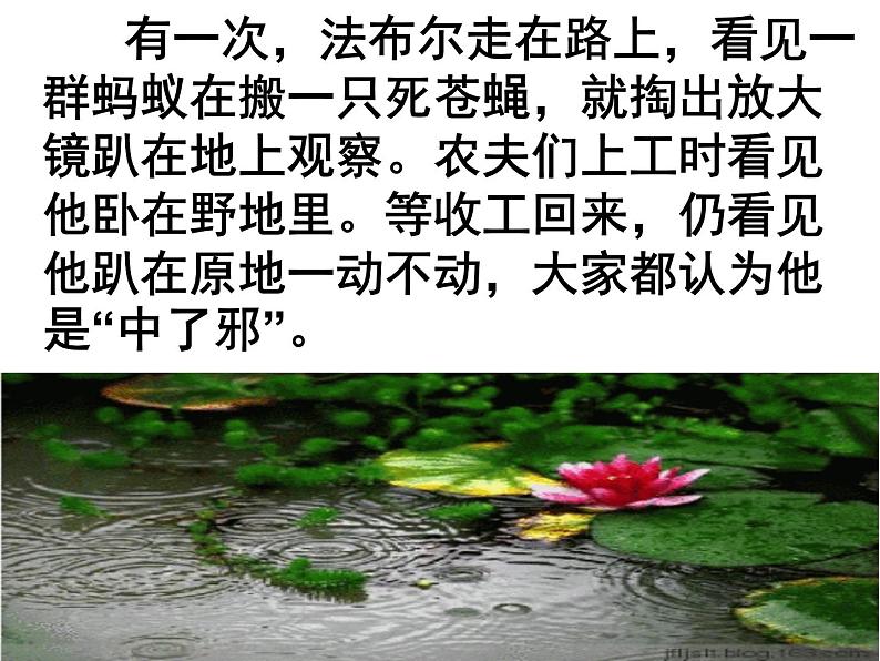 八上名著昆虫记同步课件08