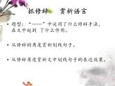 阅读修辞手法赏析题答题公式讲解   课件  2023年中考语文二轮专题