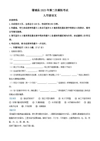 精品解析：2023年陕西省渭南市蒲城县中考二模语文试题（解析版）