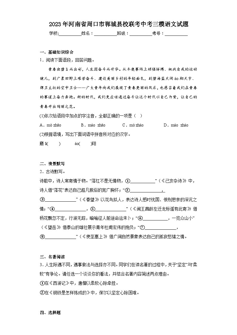 2023年河南省周口市郸城县校联考中考三模语文试题（含解析）01