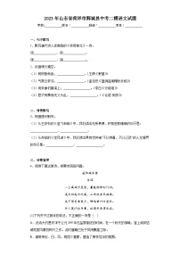 2023年山东省菏泽市鄄城县中考二模语文试题（含答案）